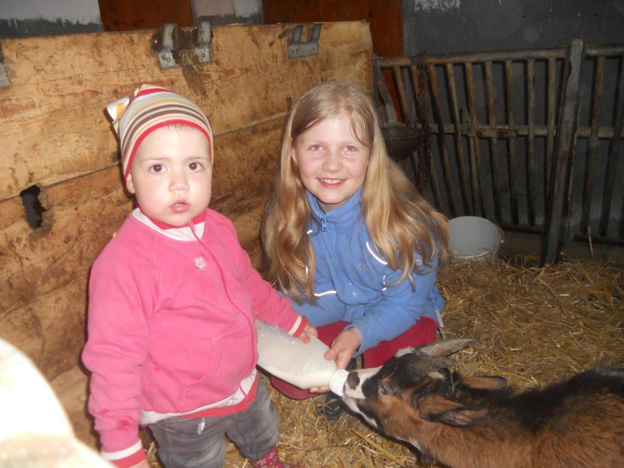Hanserhof Zell am Ziller Zewnętrze zdjęcie