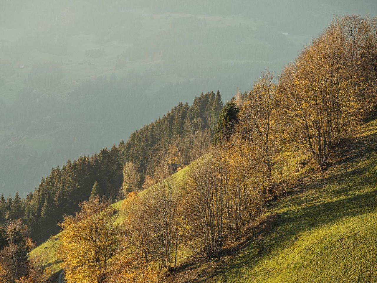 Hanserhof Zell am Ziller Zewnętrze zdjęcie